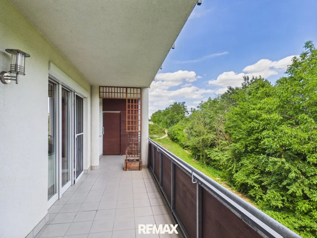 Großzügige 4 Zimmer Wohnung mit sonniger Südwest Loggia und Waldblick - Ansicht 3