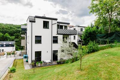 Gartentraum am Stadtrand von Wien! – Bild 2