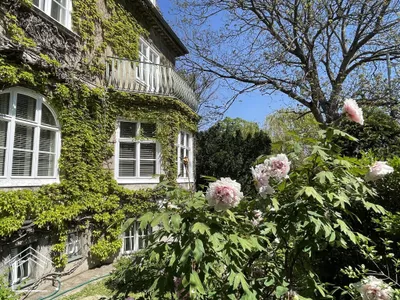 8-Zimmer-Haus mieten in Wien – 408 m², € 8.490 – Bild 39 von 48
