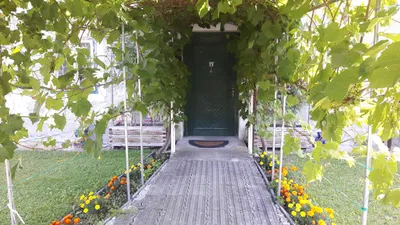 8-Zimmer-Wohnung mieten in Wels-Land – 145 m², € 1.000 – Bild 4 von 18
