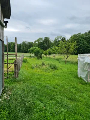8-Zimmer-Wohnung mieten in Wels-Land – 145 m², € 1.000 – Bild 10 von 18
