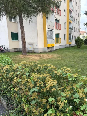 3-Zimmer-Wohnung kaufen in Graz – 73 m², € 350.000
