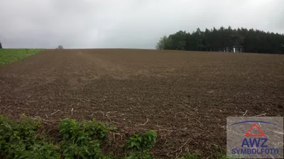 Grundstück kaufen in Südoststeiermark – 9 390 m²