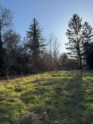 Immobilie kaufen in Mödling – 6 318 m², € 7.800.000 – Bild 12 von 14