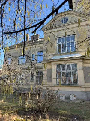Immobilie kaufen in Mödling – 6 318 m², € 7.800.000 – Bild 7 von 14
