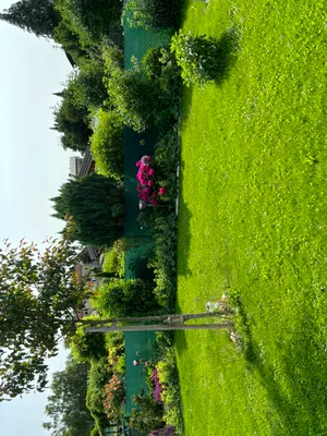 Immobilie kaufen in Grieskirchen – 300 m², € 54.900 – Bild 6 von 8