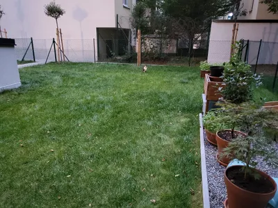 2-Zimmer-Wohnung mieten in Wien – 50 m², € 896