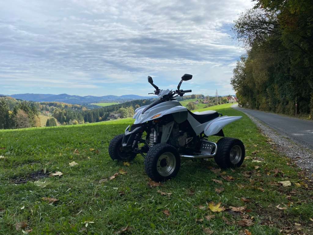 Dinli 450 Dinli special S450 Quad