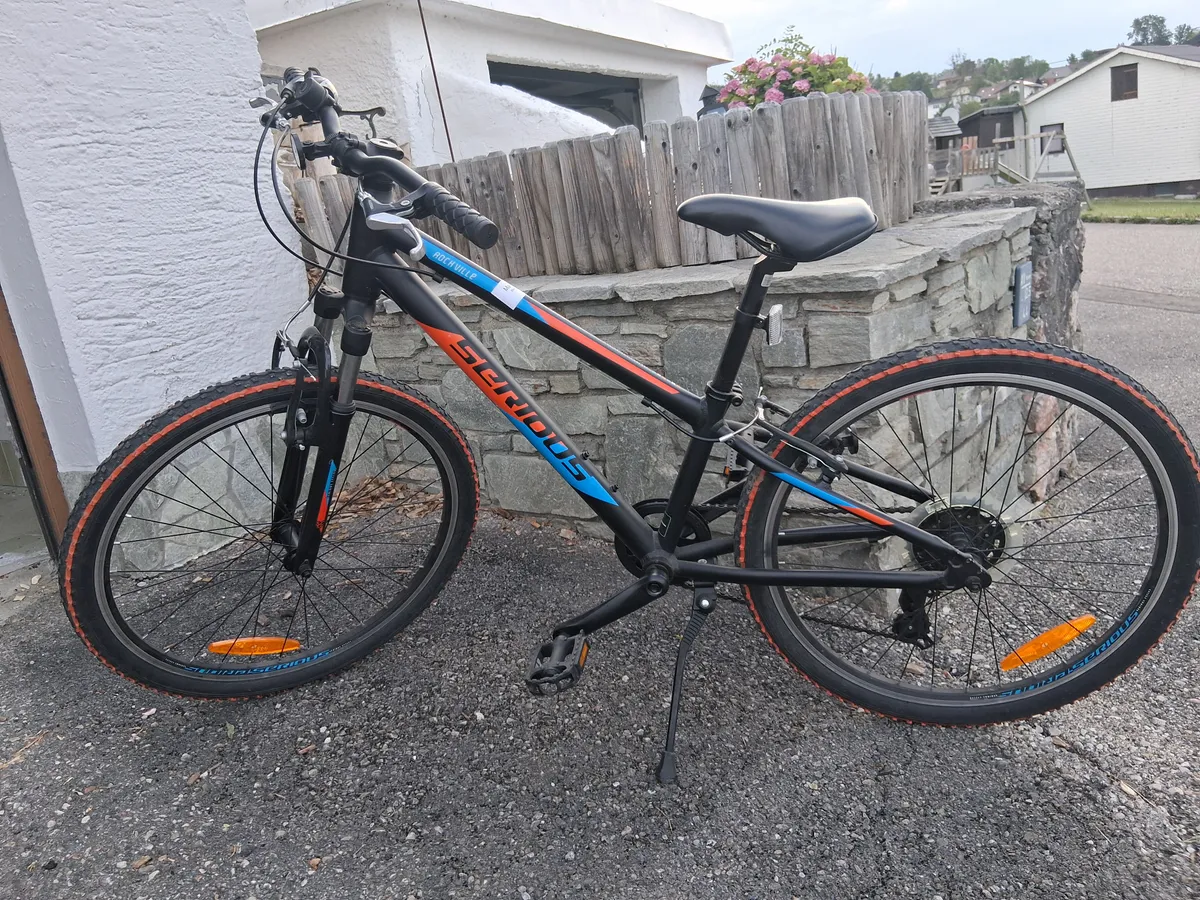 fahrräder ab werk kaufen E-Bike Klapprad MYVELO Palma E-Fatbike im Shop — 90s Hochbeet schwarz lackiert CUBY. Holzart:Olive