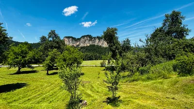 7-Zimmer-Gewerbeimmobilie kaufen in Klagenfurt Land – 215 m², € 689.000 – Bild 48 von 58