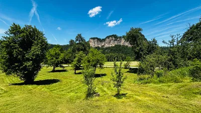 7-Zimmer-Gewerbeimmobilie kaufen in Klagenfurt Land – 215 m², € 689.000 – Bild 5 von 58