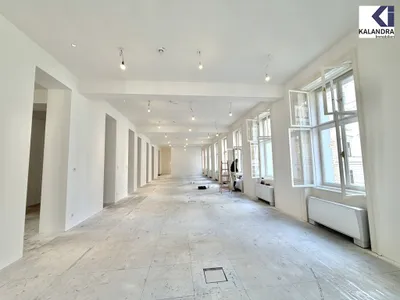 Gewerbeimmobilie mieten in Wien – 392,07 m², € 12.076 – Bild 5 von 19