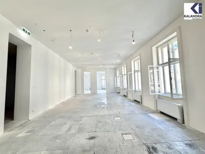 Gewerbeimmobilie mieten in Wien – 392,07 m², € 12.076 – Bild 3 von 19