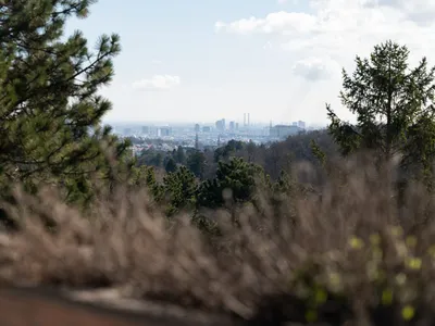 Hochwertiger Erstbezug mit Balkon, Grün- und Wienblick in Pötzleinsdorf – Bild 3