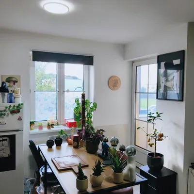 2-Zimmer-Wohnung kaufen in Amstetten – 42,46 m², € 87.549 – Bild 8 von 14