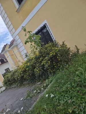 Gewerbeimmobilie kaufen in Krems an der Donau – 2 055 m², € 2.590.000 – Bild 3 von 13