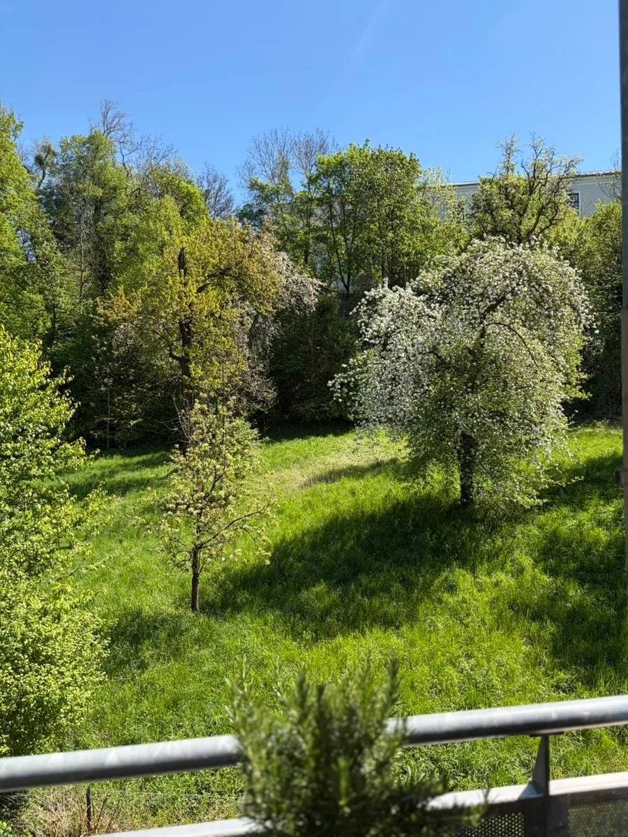 Einzigartige 4-Zimmer Wohnung 91m² mit Balkon & unverbaubarem Schlossblick - Garage, Klima, Lift - Linz Ebelsberg, provisionsfrei - Ansicht 3