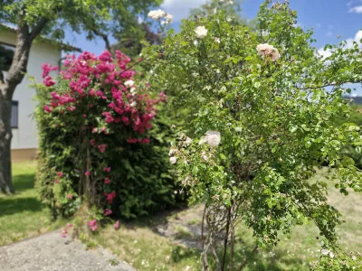 4-Zimmer-Wohnung kaufen in Leoben – 103,85 m², € 129.000 – Bild 8 von 16