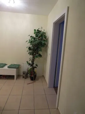 3-Zimmer-Wohnung mieten in Eferding – 80 m², € 930 – Bild 11 von 17
