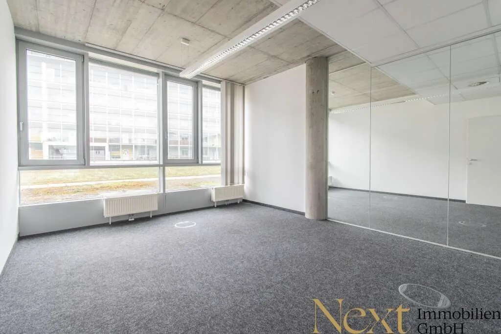 Ideal gelegene Bürofläche (optional mit Lager) im Lenaupark in Linz zu vermieten! - Ansicht 3