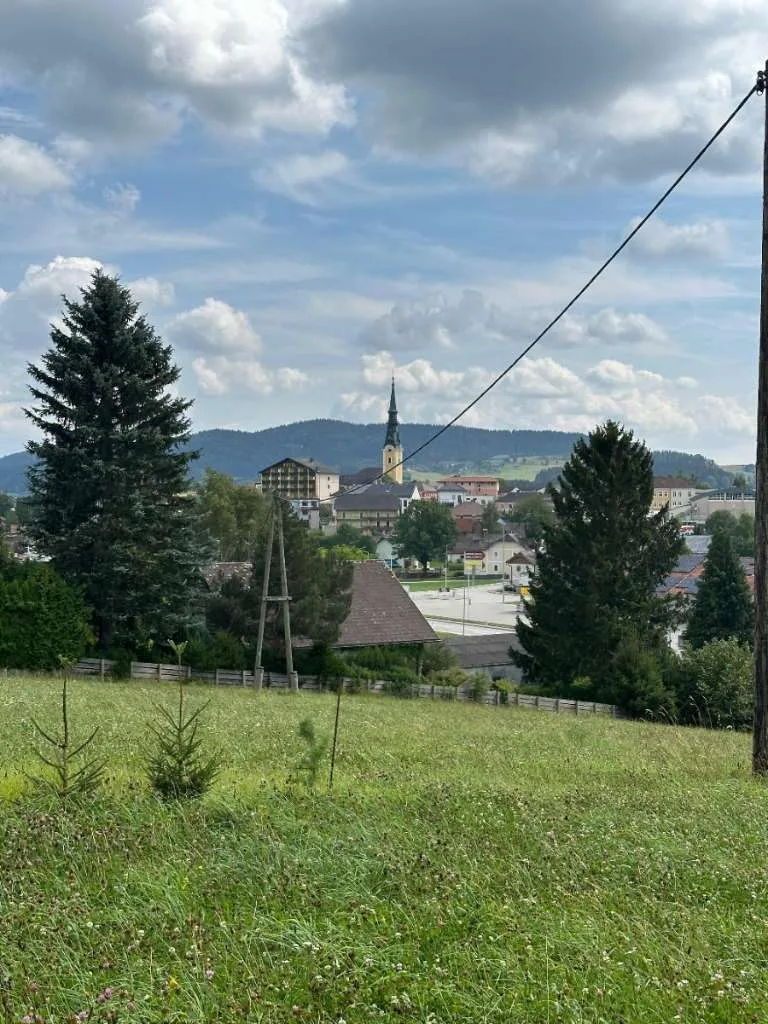 Baugrund Ulrichsberg Südhang - Ansicht 3