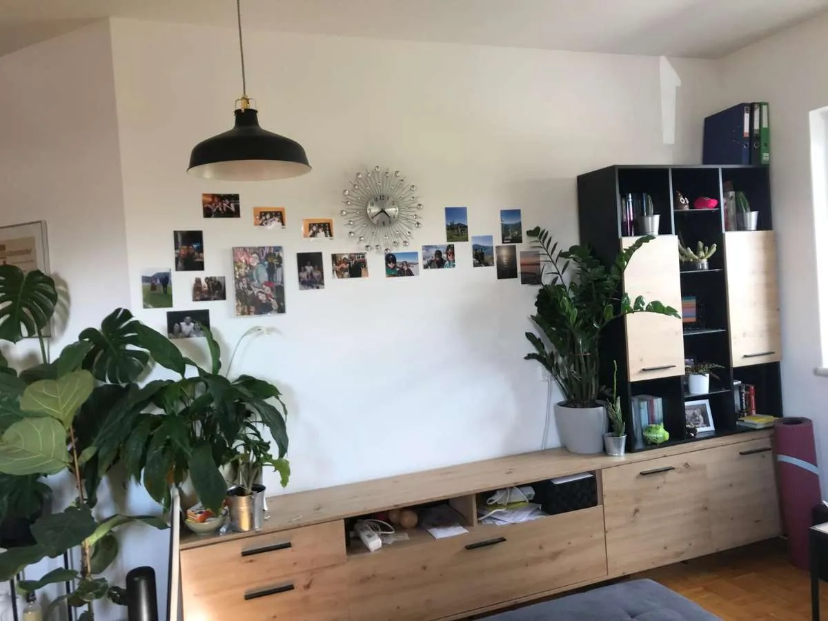Ruhige Single Wohnung am Stadtrand Ried i. I. günstige Heizkosten - Ansicht 3