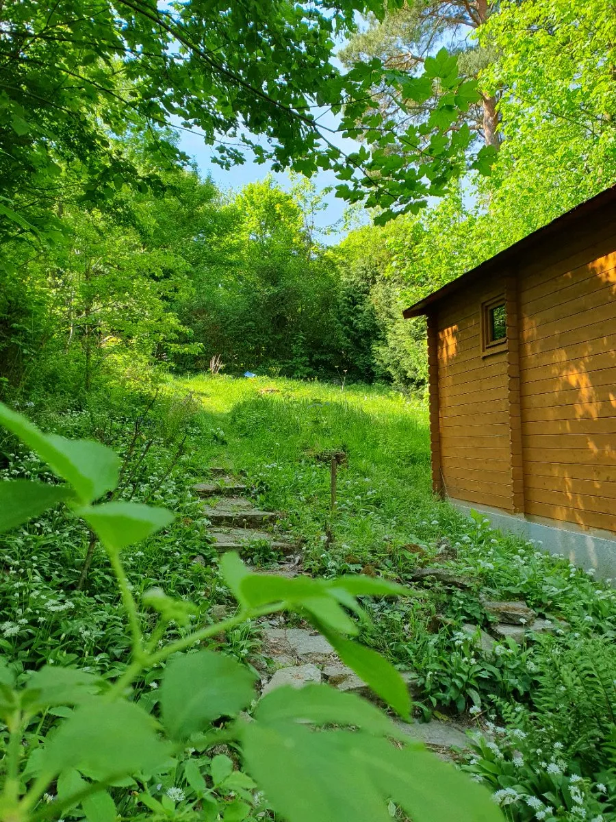 Dům, 740 m²