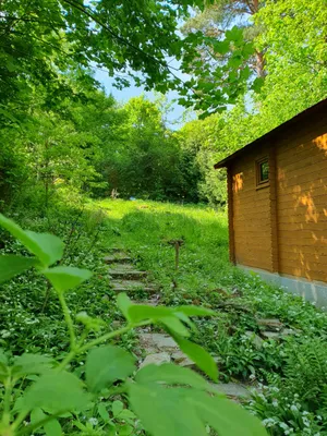 Immobilie mieten in Wien – 740 m², € 460 – Bild 1 von 20
