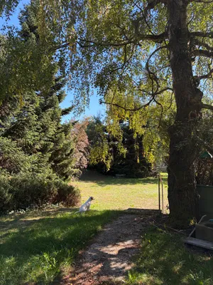 6-Zimmer-Haus mieten in Urfahr-Umgebung – 150 m², € 1.350 – Bild 18 von 18