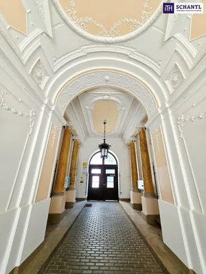 Altbauflair in 1090 Wien mit viel Platz! 5 Zimmer + Stuck + Flügeltüren + Traumhaftes Altbauhaus + Hohe Räume + Tolle Lage beim Liechtensteinpark + Beste Infrastruktur! – Bild 2