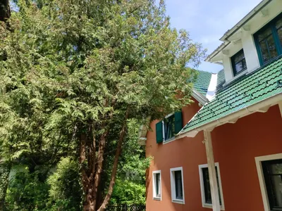 1-Zimmer-Wohnung mieten in Mödling – 40 m², € 480 – Bild 10 von 14