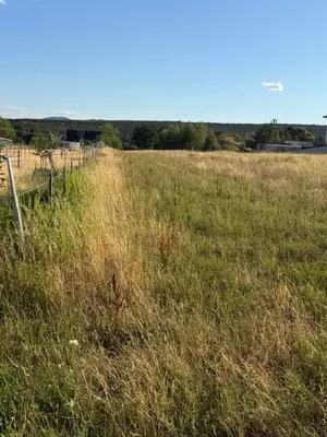 Grundstück kaufen in Oberpullendorf – 4 041 m², € 105.000 – Bild 3 von 5