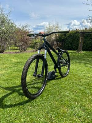 Specialized P3 Dirtbike Dirtjumper Pumptrack Fahrrad,  800,- (8720  Apfelberg) - willhaben