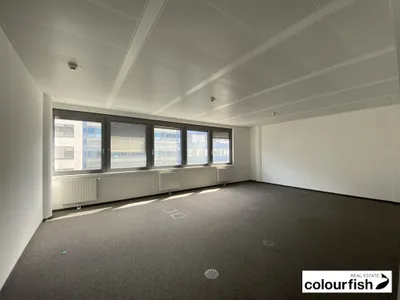 Gewerbeimmobilie mieten in Wien – 465 m², € 8.806 – Bild 3 von 19