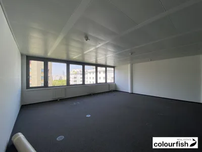 Gewerbeimmobilie mieten in Wien – 465 m², € 8.806 – Bild 6 von 19