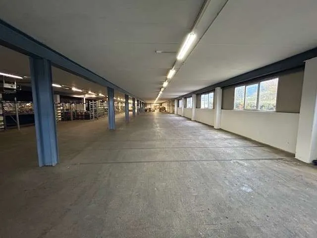 500 m² Lagerhalle an Westautobahn in 4622 Eggendorf zu vermieten - Ansicht 2