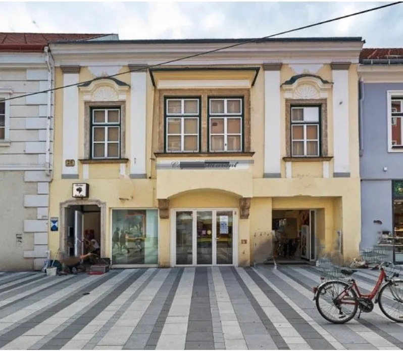 ZENTRUM Wr. Neustadt ++ Geschäftslokal & Wohnungen als INVESTMENT - Ansicht 2