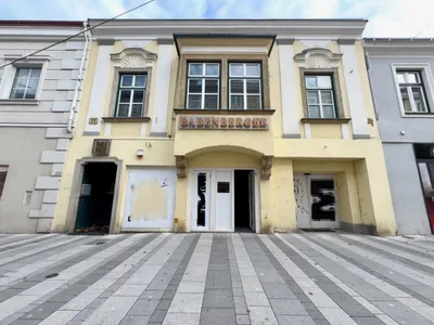 Gewerbeimmobilie kaufen in Wiener Neustadt – 880 m², € 499.000
