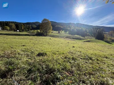 Immobilie kaufen in Zell am See – 2 890 m², € 1.450.000 – Bild 2 von 3