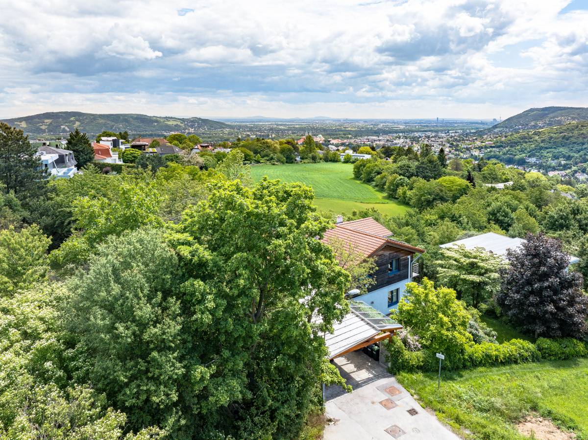 Toplage am Ölberg in Klosterneuburg / Wien- + Stiftsblick - Ansicht 2
