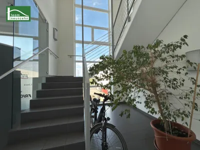 4-Zimmer-Gewerbeimmobilie mieten in Bruck an der Leitha – 606,98 m², € 9.939 – Bild 42 von 44