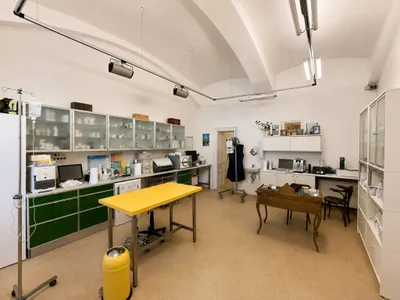 Immobilie kaufen in Wien – 69,49 m², € 179.900 – Bild 4 von 18