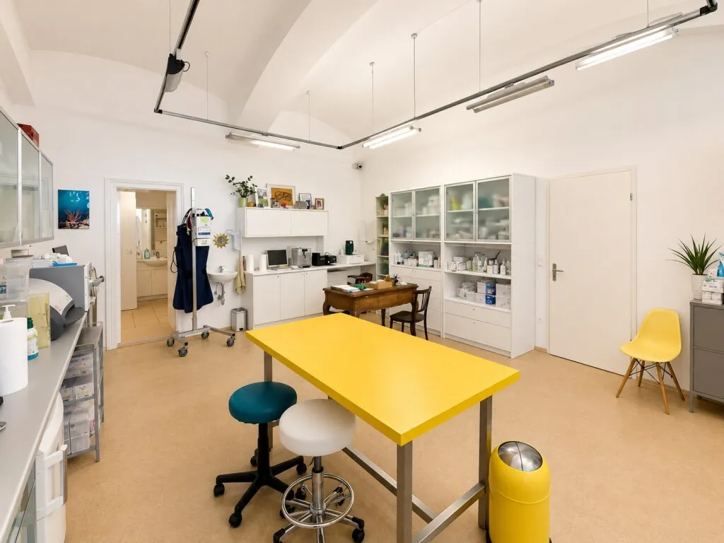 Wohnung – Wien, Czerninviertel, Katastralgemeinde Leopoldstadt - Ansicht 3