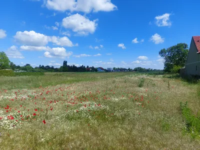 Grundstück kaufen in Neusiedl am See – 1 641 m², € 116 – Bild 2 von 5