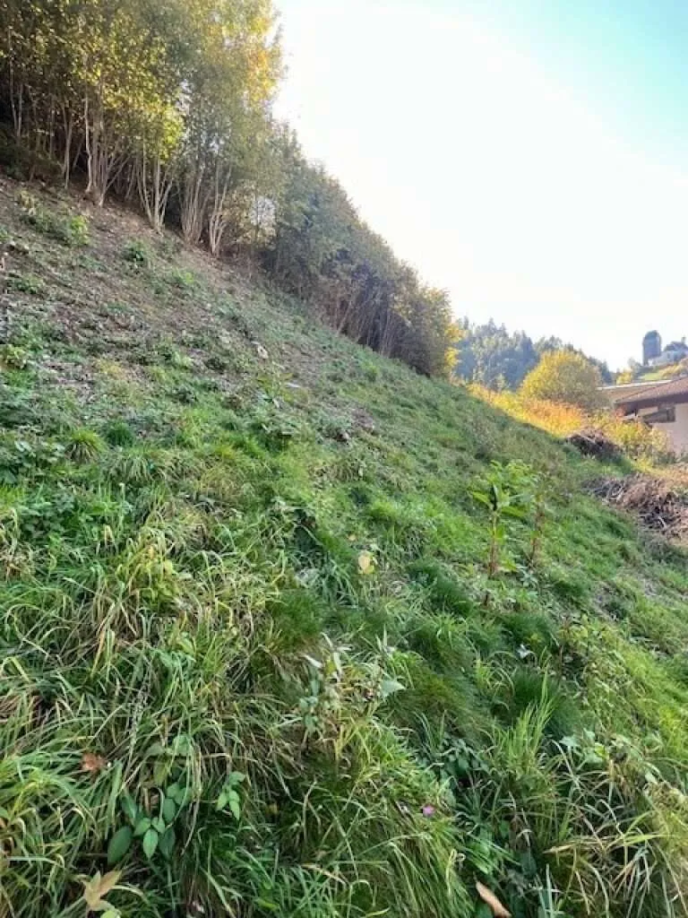 Baugrundstück in Aussichtslage - mit riesiger Grünfläche - Schwaz - Ansicht 3