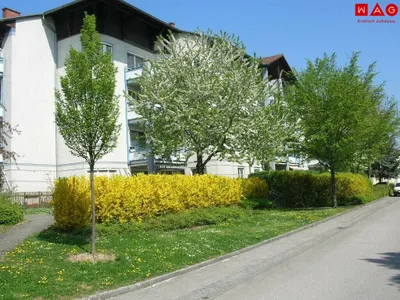 2-Zimmer-Wohnung mieten in Linz Land – 62,2 m², € 687 – Bild 4 von 5