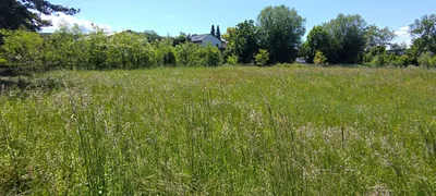 Grundstück kaufen in Graz – 1 548 m², € 1.083.600 – Bild 3 von 4
