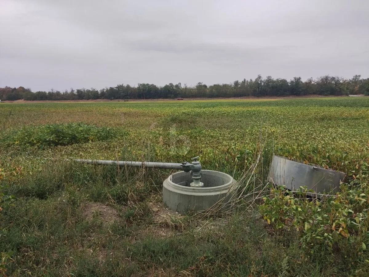 TOP-AGRARINVESTMENT: ERSTE-KLASSE ACKERFLÄCHE IN TIEFER LAGE IM MARCHFELD - Ansicht 2