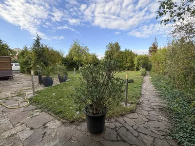 4-Zimmer-Haus kaufen in Baden – 144 m², € 449.000 – Bild 18 von 25