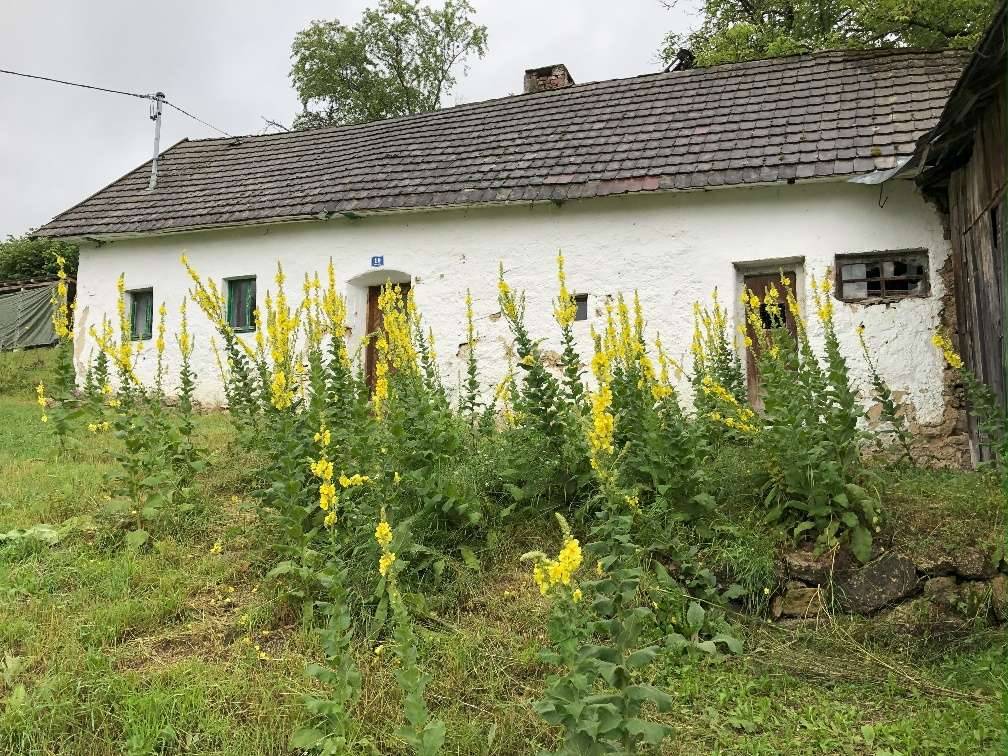 Sacherl/ Häuschen in bester Lage im Mühlviertel - Ansicht 2